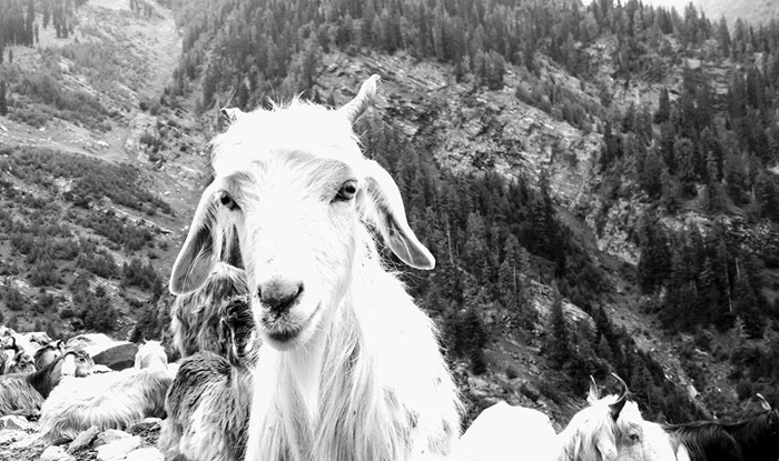 Saanch Pass Photos
