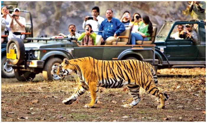 Jim Corbett National Park - How to Visit , 5 Zones , Where to Stay