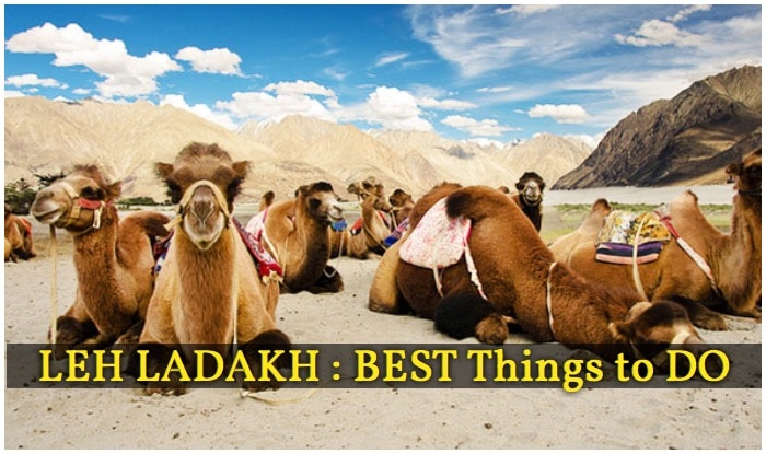 Magnetic Hill, Mountain Biking, Things to do in Leh Ladakh, River Rafting in Zanskar River, Pangong Tso Lake Ladakh, Hall of Fame Leh Ladakh