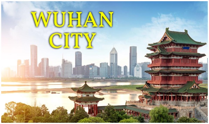 Yellow Crane Tower, Wuhan Haichang Polar Ocean World, Hubu Lane, East Lake, Wuhan Yangtze River Bridge, Wuhan University, Wuhan Garden Expo Part, Where to Travel in Wuhan, Wuhan Travel Guide, Wuhan Full Information