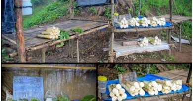 Shops in Mizoram run without shopkeeper