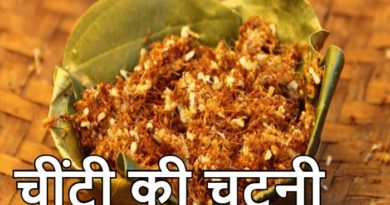 Ant Sauce in Bastar, Red Ant Sauce, Red Ant Sauce Benefits in Bastar