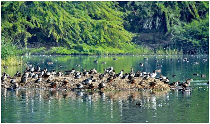 must visit Best 6 lake in Gurgaon