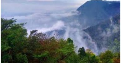 मानसून में कहां घूमें, मानसून में घूमने की जगहें, Agumbe hill station , Agumbe Monsoon travel Monsoon travel मानसून में घूमने की जगहें