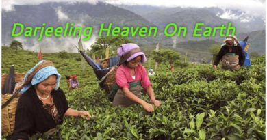 दार्जिलिंग में कहां घूमें, दार्जिलिंग हिल स्टेशन, Must Visit Darjeeling , Darjeeling Hill Station , Beauty Of Darjeeling