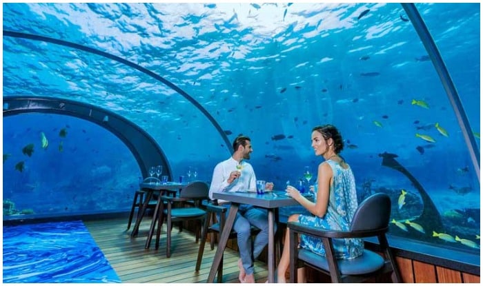 11 Things To Do In Maldives On Honeymoon