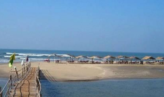 Find out why Mandrem Beach is special among tourists in Goa