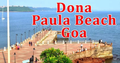 Goa's Paula beach is best for honeymoon couple