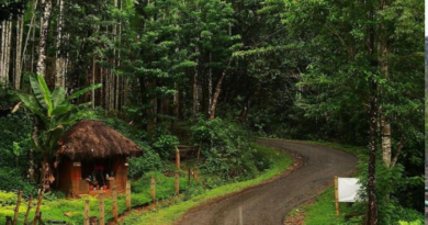 Know what is special in Lord Mahaveer Wildlife Sanctuary of Goa