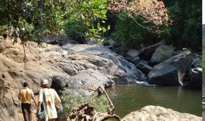 Know what is special in Lord Mahaveer Wildlife Sanctuary of Goa