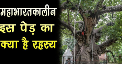 Parijat Tree - unknown facts relates to mahabharat time tree