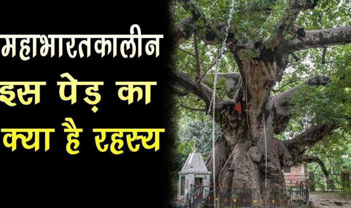Parijat Tree - unknown facts relates to mahabharat time tree
