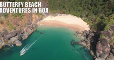 Butterfly Beach Palolem Canacona South Goa District Goa