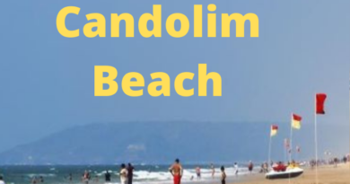 Candolim Beach is a popular tourist spot for honeymoon