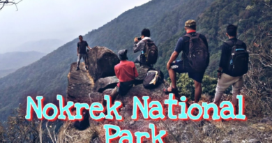 Nokrek National Park in Meghalaya is famous for its beauty