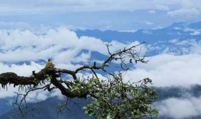 top offbeat destinations near delhi bucket list for post covid world