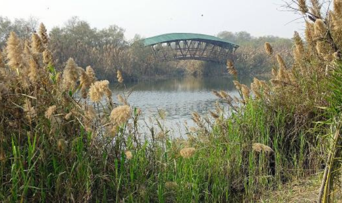 Yamuna Biodiverstity Park, Domesticated Biodiversity Zone, Conservatory of fruit yielding species, Herbal garden,