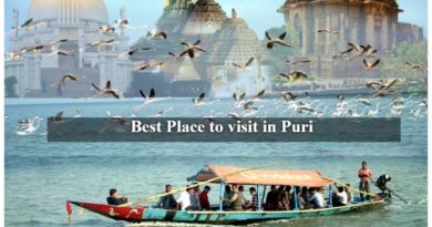 Puri Travel Guide - Best tourist places in city