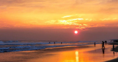 Golden beach in Puri gets 'blue flag', know what is blue flag
