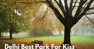 Delhi Best Park For Kiss- दिल्ली में कपल के लिए उनके कुछ बेहतरीन पार्क जहां आप अपने पार्टनर के साथ समय बिता सकते हैं.
