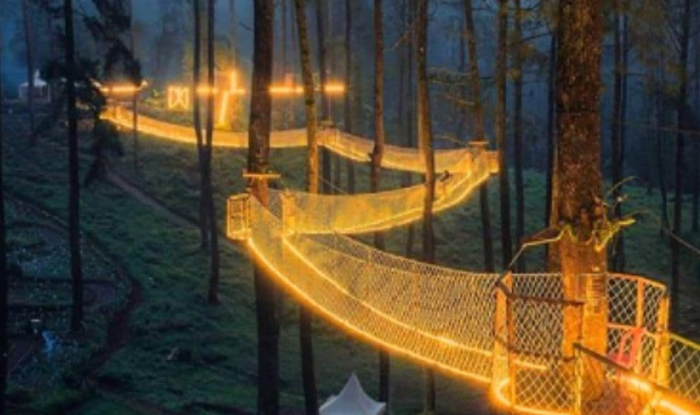 Foreign Travel-orchid forest in lembang indonesia is home to a magical bridge of lights suspended among trees