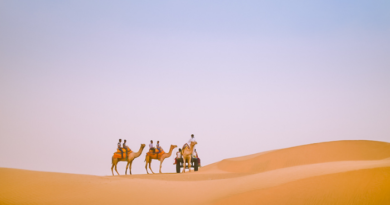 Want to take a camel safari, come and visit Sam Sand Dunes