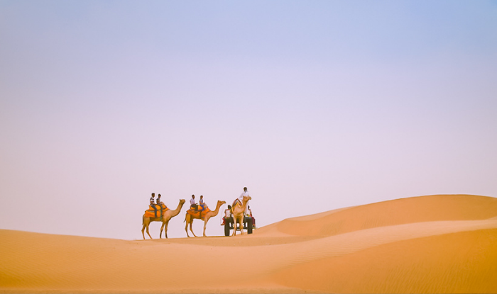 Want to take a camel safari, come and visit Sam Sand Dunes