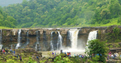 due to corona tourist in Saputara hill station of Gujarat decreased