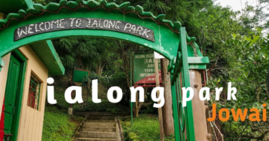 The beauty of natural is located in Meghalaya, Ialong Park, must visit