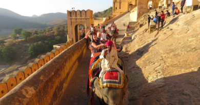 Elephant ride resumes in Amer Mahal