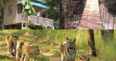 Valmikinagr Tour : Valmikinagr buzzed with tourists