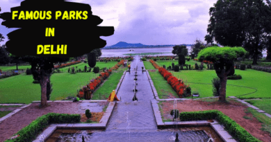 आज हम आपको दिल्ली के ऐसे पार्क ( Best Parks and Gardens of Delhi ) के बारे में बताएंगे जहां आप परिवार, दोस्तों के साथ पिकनिक मना सकते हैं... (File Photo)