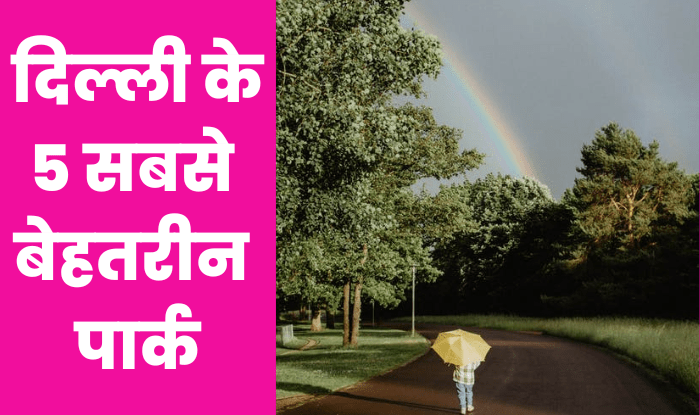 दिल्ली के 5 बेहतरीन पार्क ( Five Best Park in Delhi ) जहां आप अपना वीकेंड मना सकते हैं