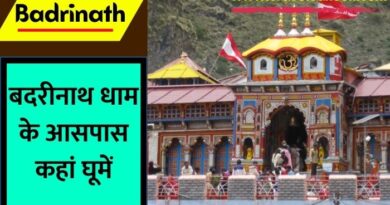 Places to Visit near Badrinath: बदरीनाथ के आसपास घूमने के लिए कौन कौन सी जगहें हैं, आइए जानते हैं इस लेख में