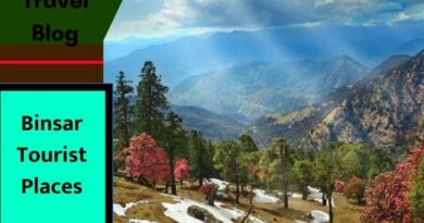 Tourist Places in Binsar : उत्तराखंड के अल्मोड़ा में स्थित है खूबसूरत बिनसर. आइए जानते हैं कि पर्यटकों को बिनसर की किन जगहों पर घूमना चाहिए...