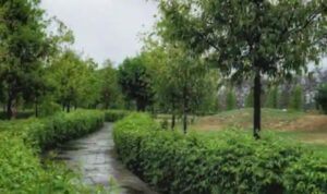 Japanese Park