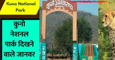 Kuno National Park : विलुप्त होने के 7 लंबे दशकों के बाद चीतों की दहाड़ एक बार फिर भारत में सुनी जा सकती है