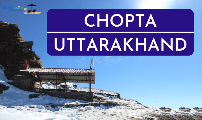 Chopta Travel Guide in Uttarakhand : उत्तराखंड के चोपता कैसे पहुंचे, कब जाएं और आसपास कहां कहां घूमें, आइए जानते हैं इस ब्लॉग में...