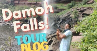 Damoh Waterfall Tour Blog : दमोह झरना धौलपुर में स्थित है. इस ब्लॉग में आप धौलपुर से दमोह झरने तक की यात्रा के बारे में पढ़ेंगे...