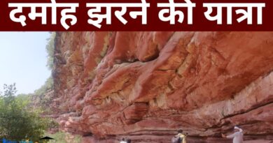 Damoh Waterfall Sirmathura : इस यात्रा ब्लॉग में आप राजस्थान के धौलपुर में स्थित दमोह झरने के बारे में पढ़ेंगे. ये झरना सरमथुरा तहसील में है...