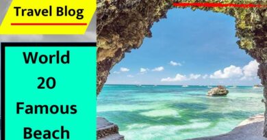 World 20 Famous Beach : वर्ल्ड के 20 खूबसूरत बीच पर लें समुद्र की लहरों का मजा. जानिए इनके बारे में इस आर्टिकल में...