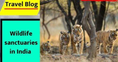 Wildlife sanctuaries in India