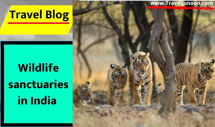 Wildlife sanctuaries in India