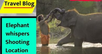 Elephant Whisperers Documentary Shooting Location