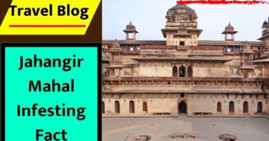 Jahangir Mahal Infesting Fact