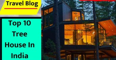 Top 10 Tree House In India