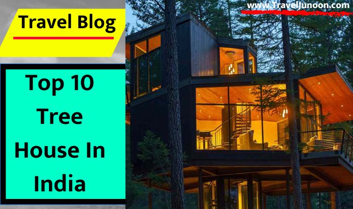Top 10 Tree House In India