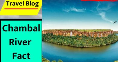 Chambal River Fact