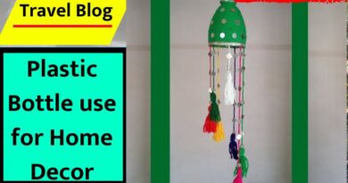 Plastic Bottle use for Home Decor