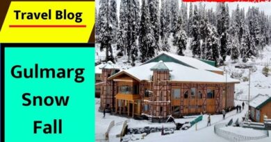 Gulmarg Snow Fall